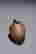 item-118744038=4