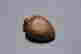 item-118744038=7