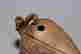 item-118744038=8