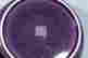item-118744333=4