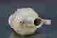item-119810890=6