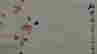 item-119810978=3