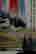 item-119811049=4