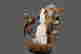 item-119811350=5