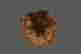 item-119811350=8