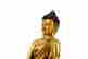 item-119811351=16
