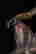item-119839997=3
