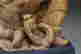 item-120397050=3