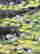 item-120397164=3