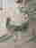 item-120397307=4