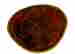 item-122815706=8