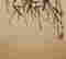 item-123520366=6