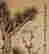 item-123520380=4