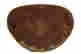 item-125720604=9