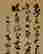 item-123575296=4