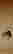 item-123575309=1