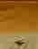 item-123575311=2