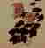 item-123575312=6
