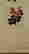 item-123575312=8