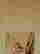 item-123575326=3