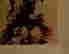 item-123575326=7
