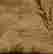 item-123575329=6