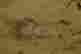 item-123575329=7