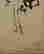 item-123575330=7