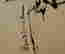 item-123575330=8