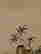 item-123575331=2