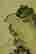 item-123575332=4