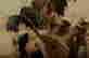 item-123575343=2