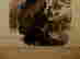 item-123575343=5