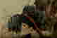 item-123575343=6