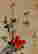 item-123575345=4