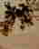 item-123575345=7