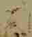item-123575346=4