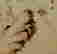 item-123575346=5