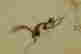 item-123575346=8