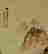 item-123575347=3