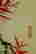 item-123575348=5