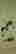 item-123575360=1