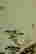 item-123575360=3