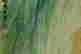 item-123575361=5