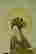 item-123575396=3