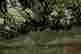 item-123575398=3