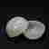 item-130462236=4