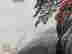 item-130462276=8