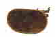 item-130462402=9