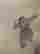 item-130462484=9